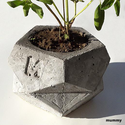 Flowerpot / Flowerpot