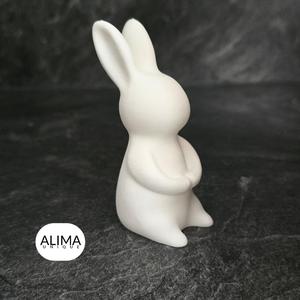 Shape of a Rabbit - Easter Decoration for your home - Support Free