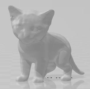  kitten