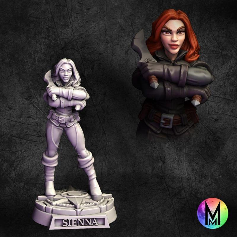 Sienna the Rogue ( Black Widow inspired rogue with two daggers)