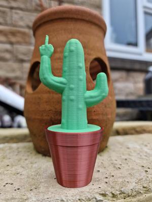 Succulent With an F Cactus Pot