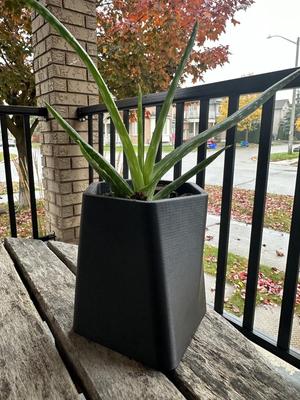 GreenScapes Succulent Planter