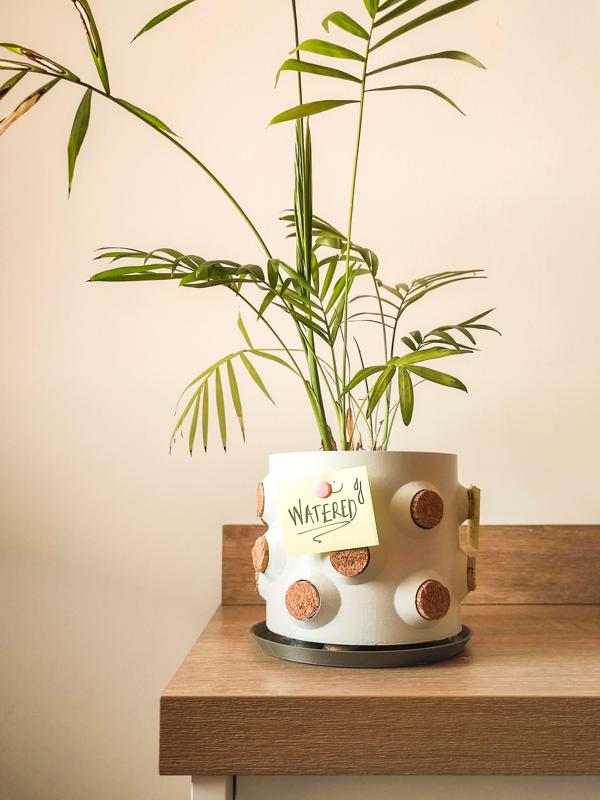 Corky | Note planter