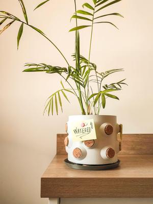 Corky | Note planter