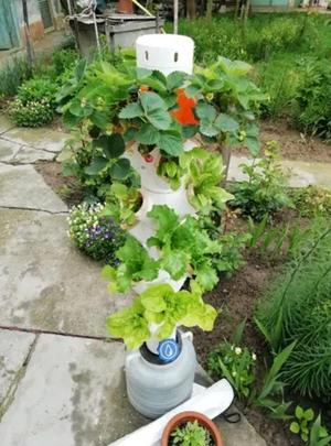 Modular Hydroponic Tower Garden