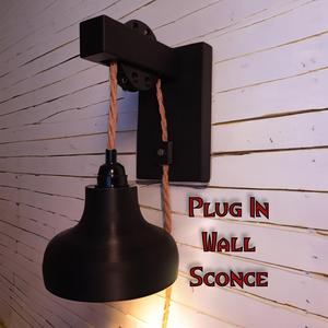 Plug In Wall Sconce - #FunctionalArt