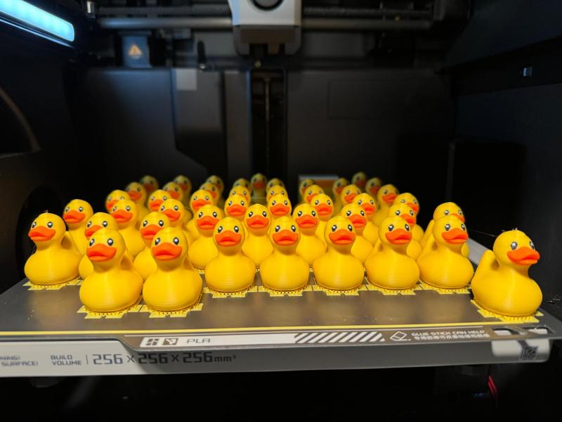 Mini Rubber Ducks (Multi-Color)