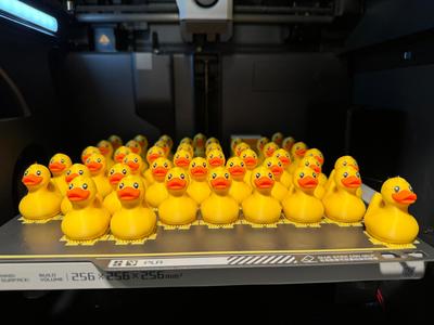 Mini Rubber Ducks (Multi-Color)