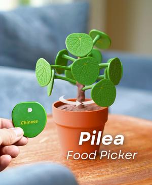 Pilea Food Picker - The Chinese Money Plant - Dinner Decider