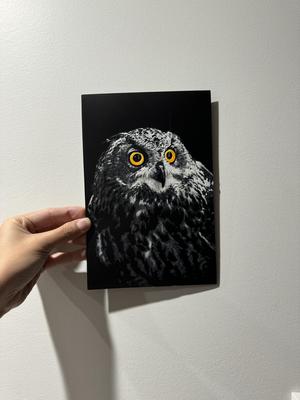 Owlbert Einstein - A LanternLore Collab