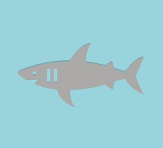 Shark Bookmark