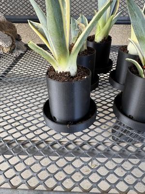Small Flower Pot