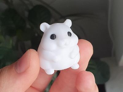 Cute Fat Hamster buddy