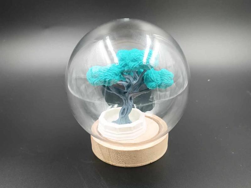 Bonsai Tree