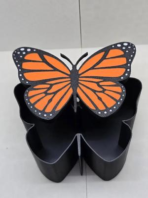 Butterfly Box   