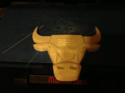 Chicago Bulls Emblem