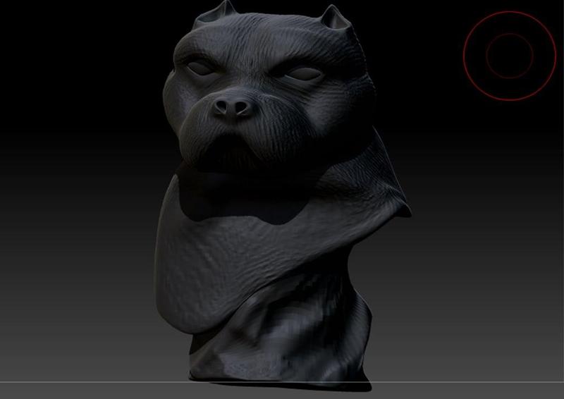 Bust dog