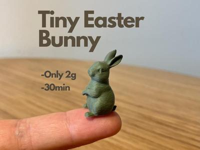 Tiny Easter Bunny