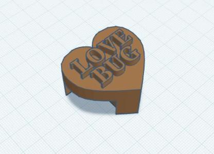 Love Bug Heart Shaped Jumping Spider Hide