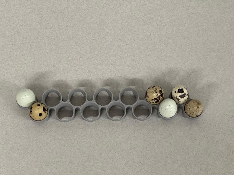 Maticoopx Incubator Quail Egg Tray (Regular sized eggs)