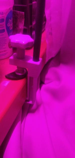 phytolamp holder
