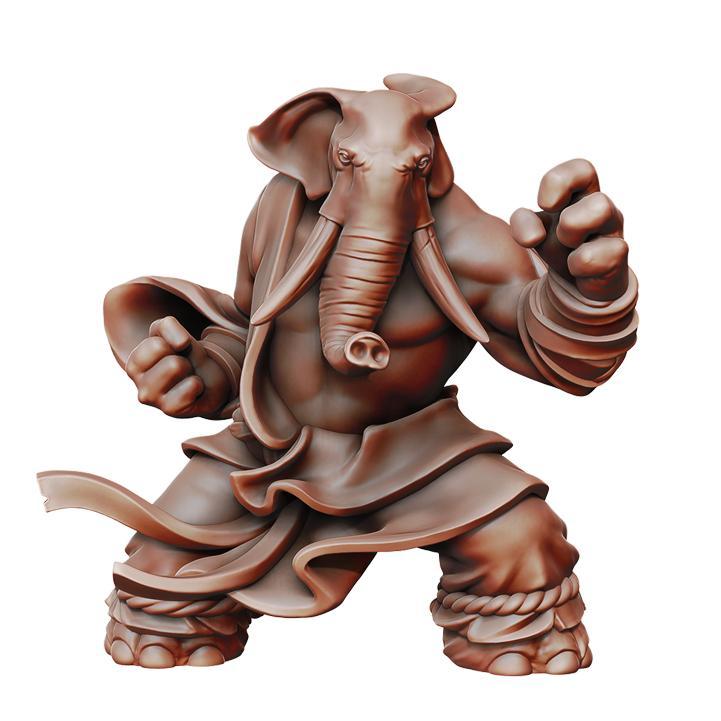 Elephantfolk