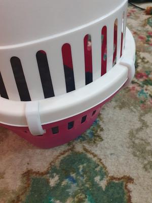 Cat carrier clip/clamp