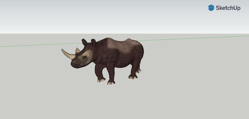 Rhino