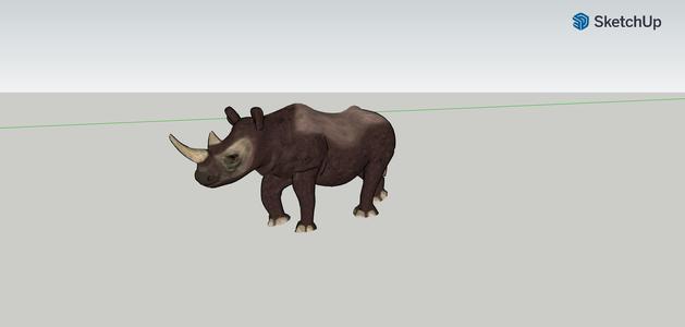 Rhino