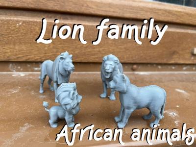 Lion family, lion