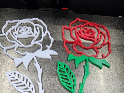 Rose