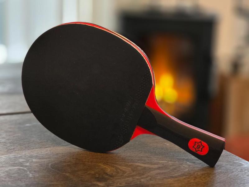 Ping pong paddle