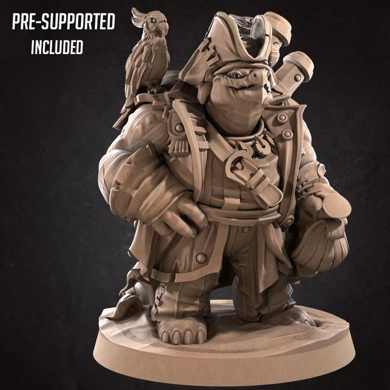 Tortle Pirate