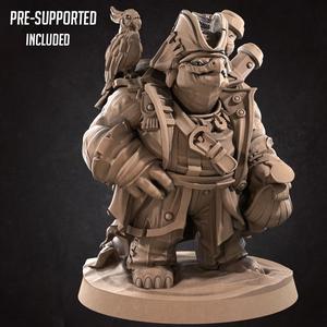 Tortle Pirate