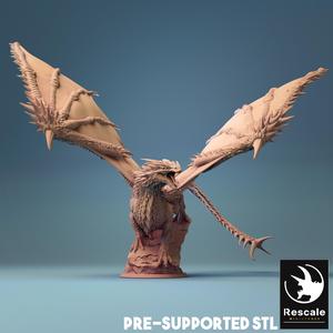 Young Red Dragon