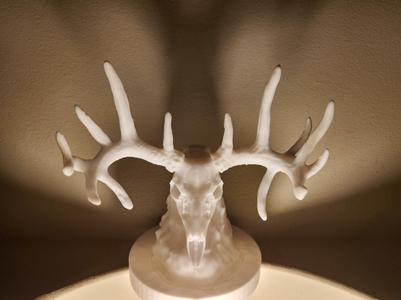 "Trophy Buck" Deer Skull with Base