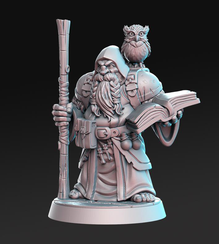 Dramnir - Dwarf Wizard with owl - 32mm - DnD