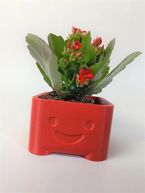 Cute Planter Tim
