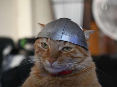 S-Rank Monster no “Behemoth” – CAT HELMET